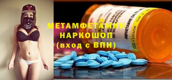 прущие грибы Лабытнанги