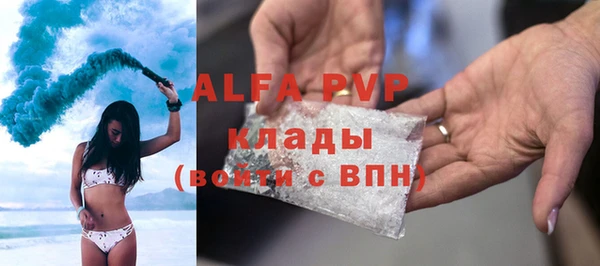 сатива Кулебаки