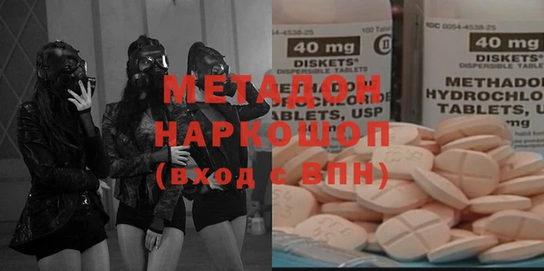 дживик Ельня