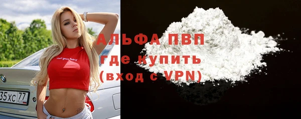 сатива Кулебаки