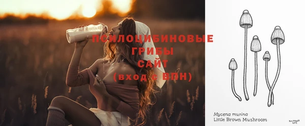 сатива Кулебаки