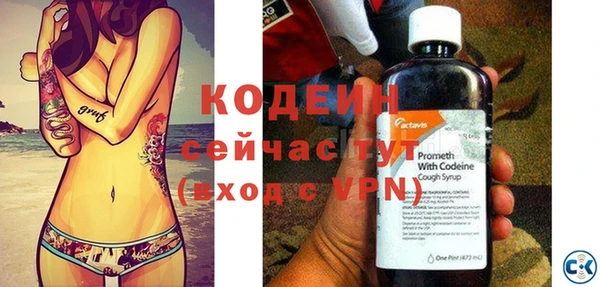 прущие грибы Лабытнанги