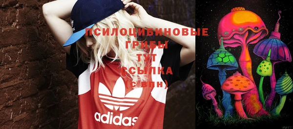 стафф Кукмор