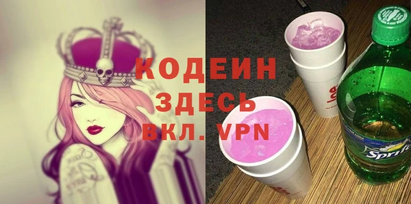 сатива Кулебаки
