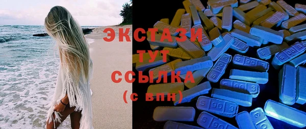 сатива Кулебаки