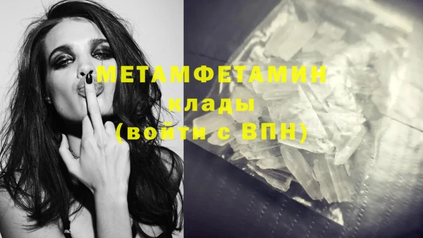прущие грибы Лабытнанги