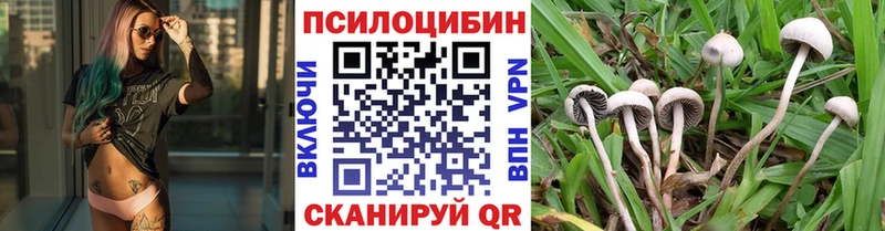 даркнет сайт  Новый Уренгой  Галлюциногенные грибы MAGIC MUSHROOMS 