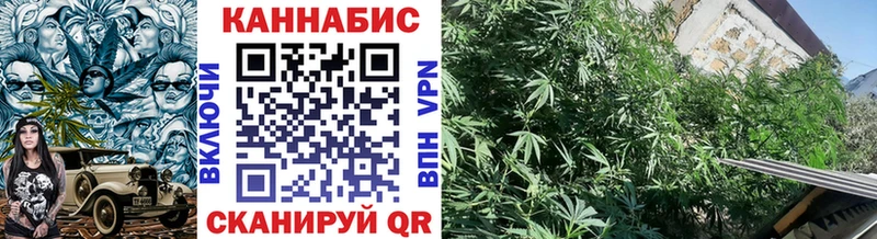 Бошки Шишки THC 21%  магазин    Новый Уренгой 